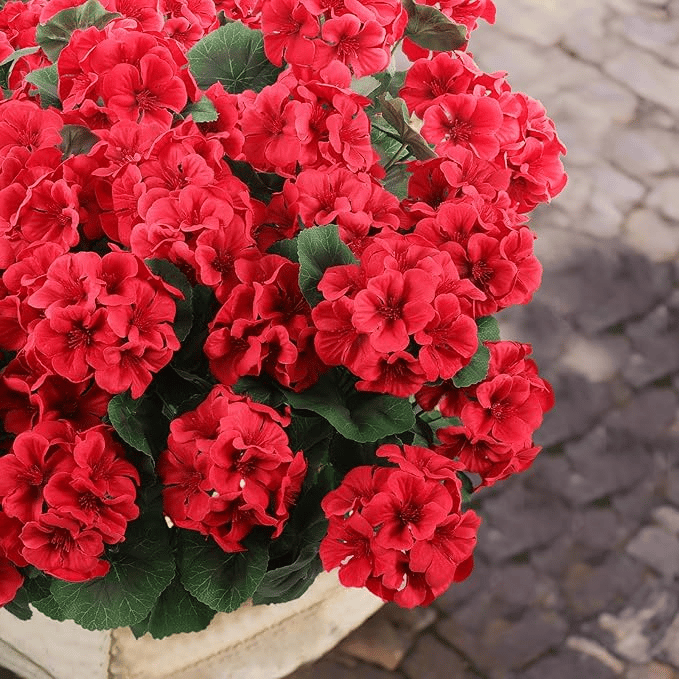 🌸 Lush, UV-Resistant Artificial Geraniums