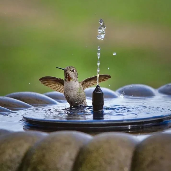 ☀️Solar Bird Bath Fountain Pump with 4 Nozzles
