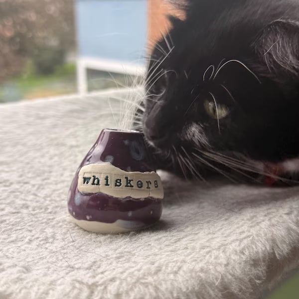 Hand-Thrown Whiskers Keepsake Vase