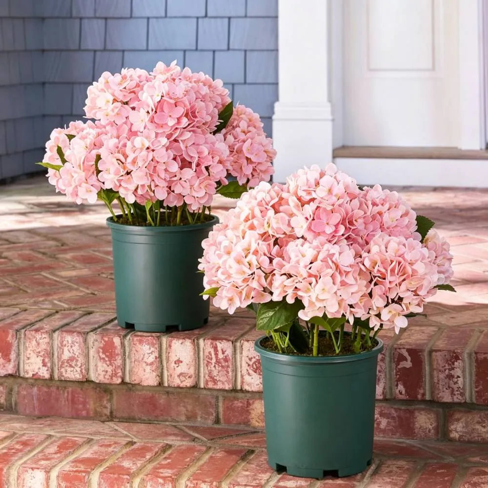 💐Artificial Outdoor Hydrangea Flowers - UV resistant, Waterproof, Windproof