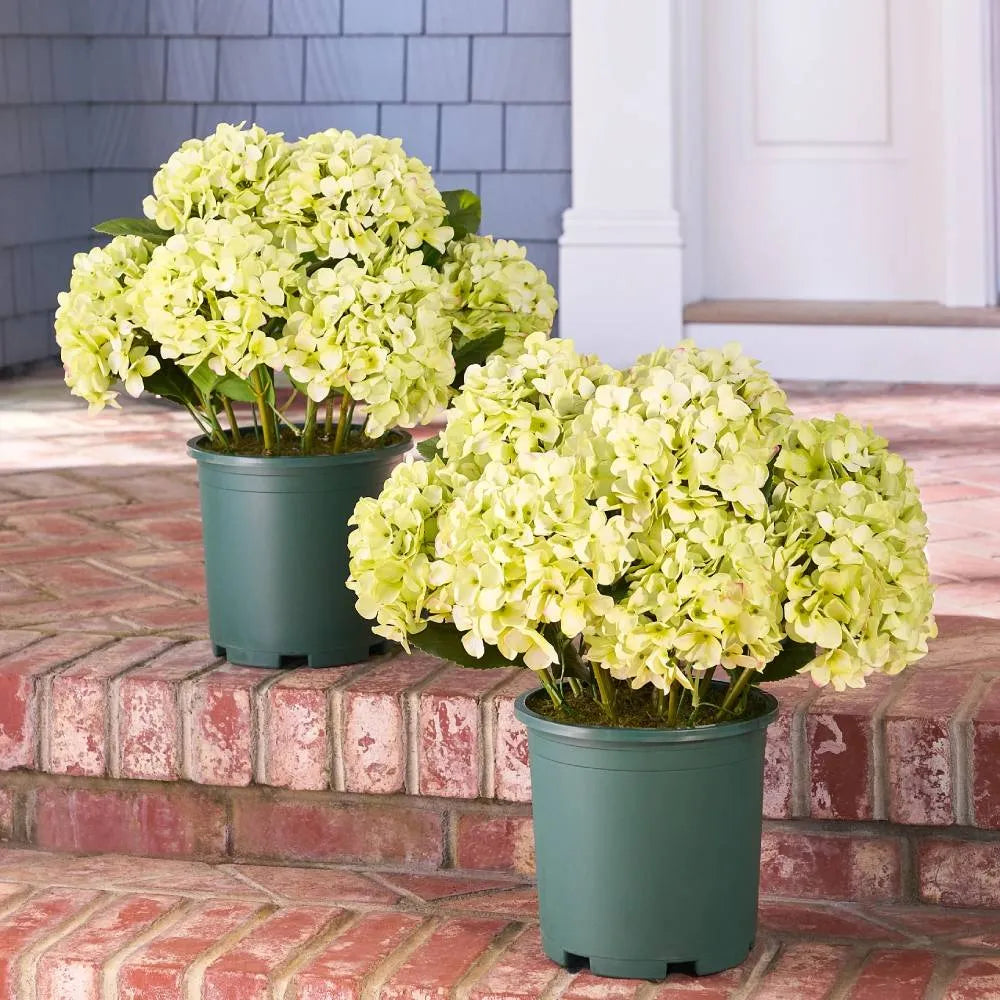 💐Artificial Outdoor Hydrangea Flowers - UV resistant, Waterproof, Windproof