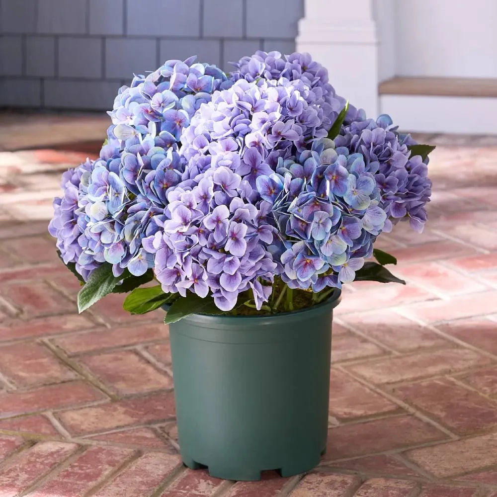 💐Artificial Outdoor Hydrangea Flowers - UV resistant, Waterproof, Windproof