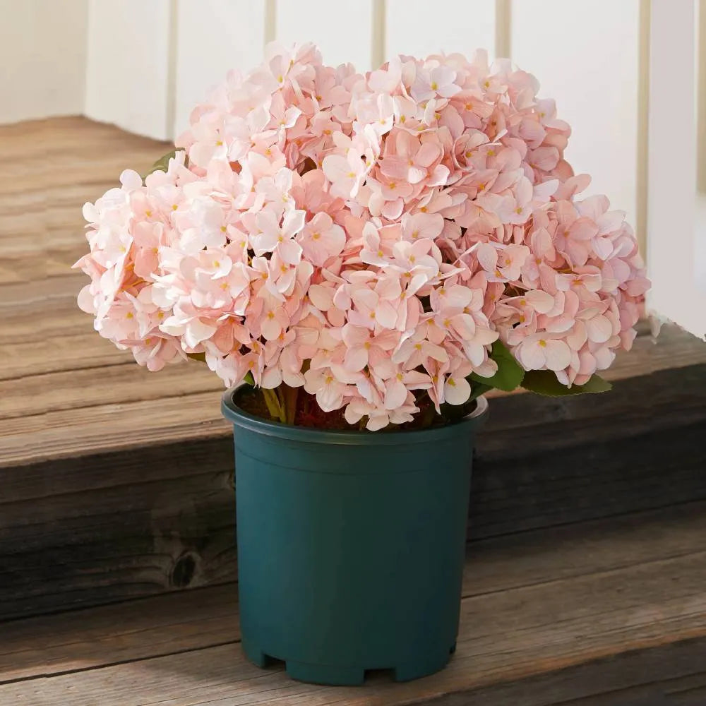 💐Artificial Outdoor Hydrangea Flowers - UV resistant, Waterproof, Windproof