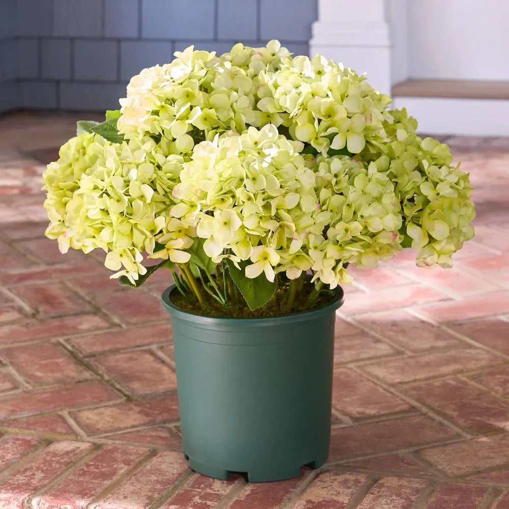 💐Artificial Outdoor Hydrangea Flowers - UV resistant, Waterproof, Windproof